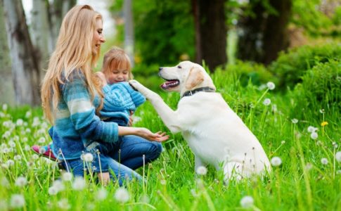 Et si posséder un animal domestique devenait un acteur anti-stress