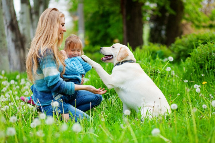 Et si posséder un animal domestique devenait un acteur anti-stress