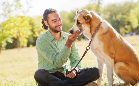 COMMENT L'ANIMAL FAMILIER DEVIENT-IL UN ACTEUR ANTI STRESS