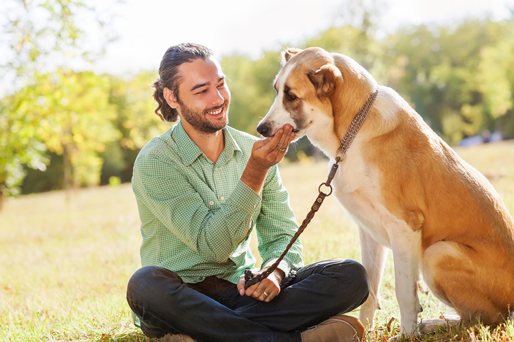 COMMENT L'ANIMAL FAMILIER DEVIENT-IL UN ACTEUR ANTI STRESS